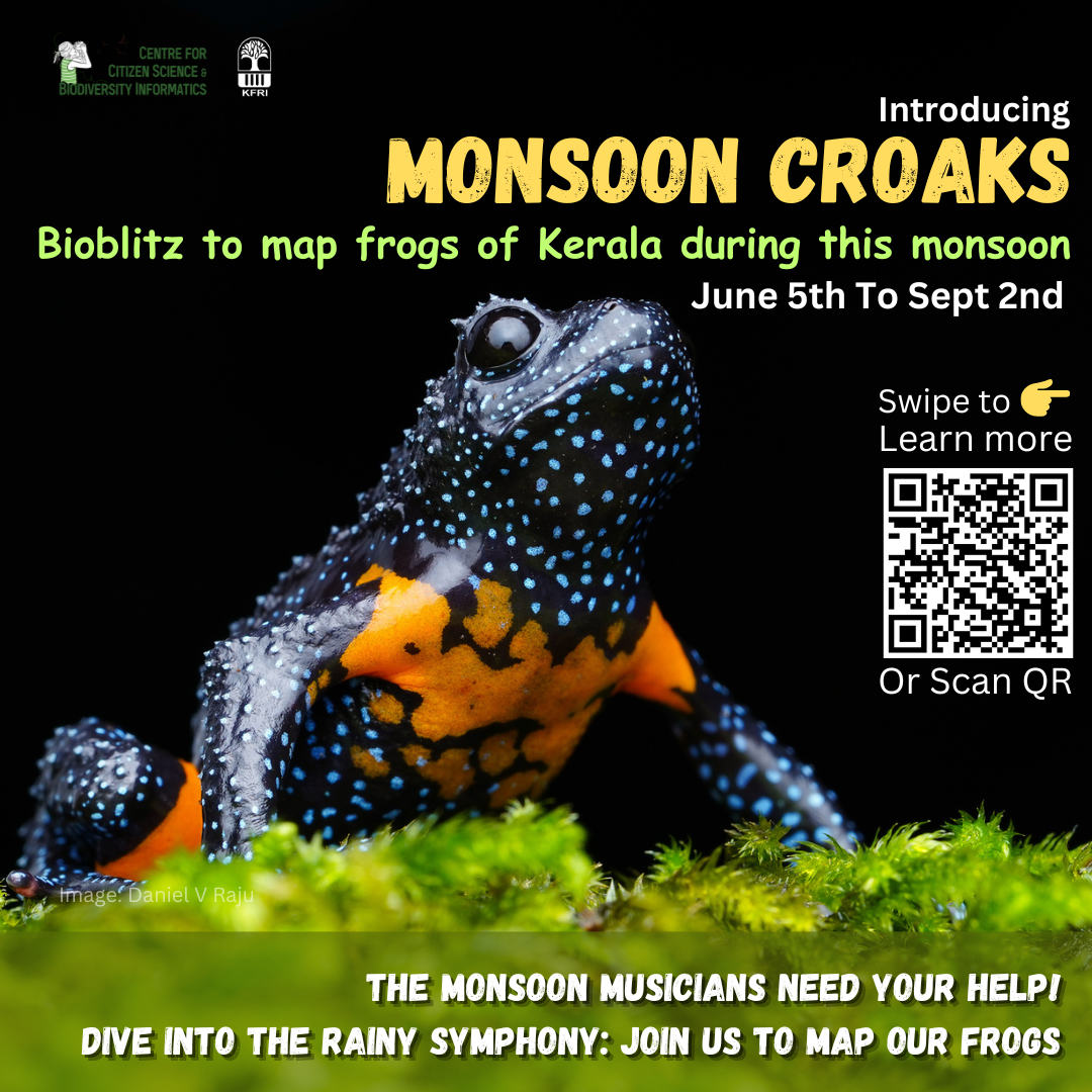 Monsoon Croaks 2023