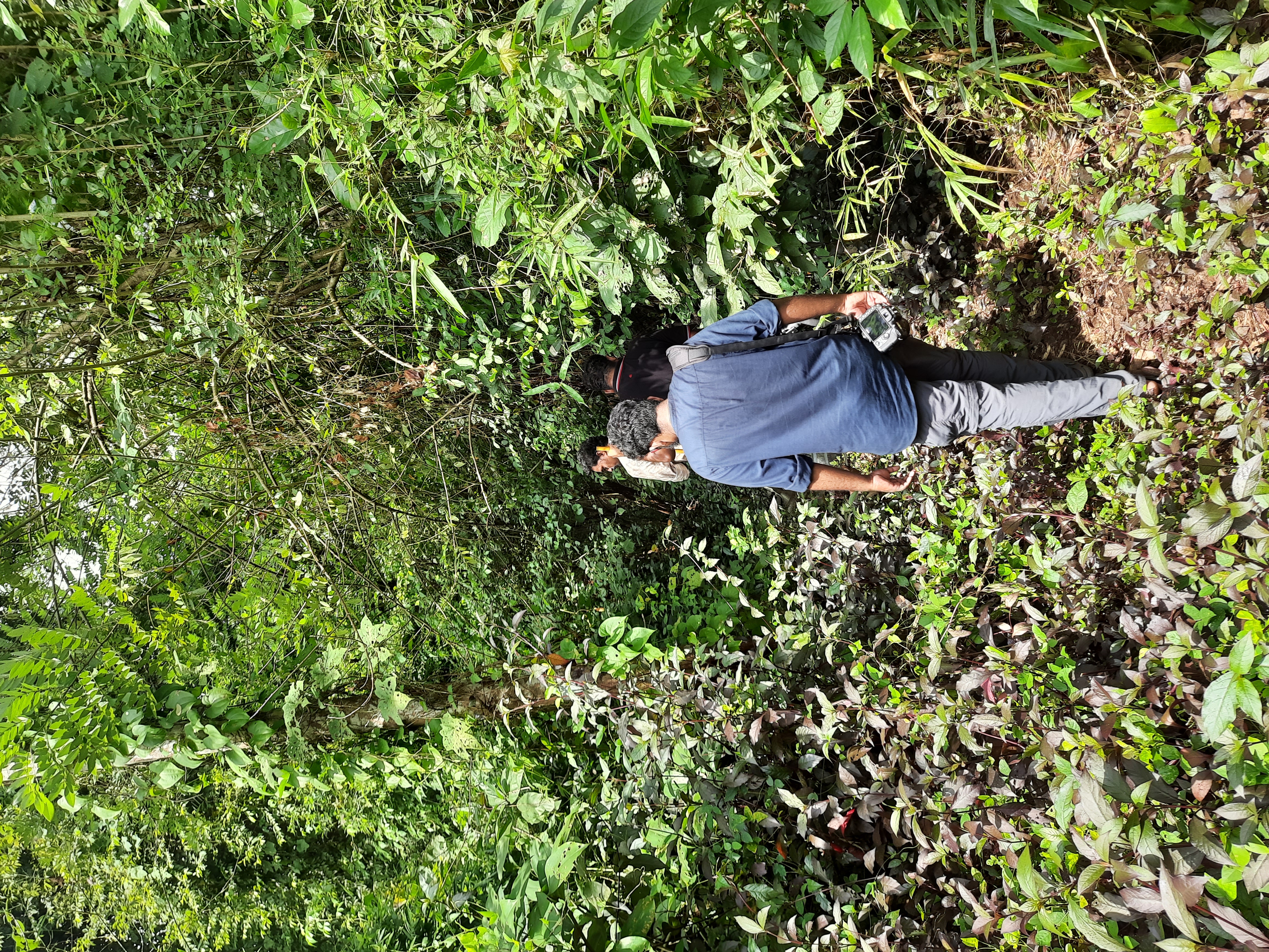 Institutional Biodiversity Assessment - Vallachira panchayath